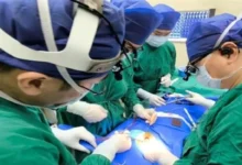 Чэнь Хуацзян возглавил спасение в больнице Чанчжэн chen huaczzyan vozglavil spasenie v bolnicze chanchzhen-dmvv-ru-0