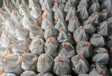 Дарья Мартынкина из Союзцемента и эксперты СМ Про прогнозируют новые перспективы darya martynkina iz soyuzczementa i eksperty sm pro prognoziruyut novye perspektivy-dmvv-ru-0