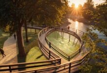 Денис Паслер: благоустройство набережной Ольховки denis pasler naberezhnaya