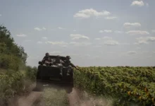 Дональд Трамп и НАТО. Как готовится военная сила для Украины? donald tramp i nato kak gotovitsya voennaya sila dlya ukrainy-dmvv-ru-0