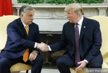 Дональд Трамп и Орбан обсуждают вступление Украины в Евросоюз donald tramp i orban obsuzhdayut vstuplenie ukrainy v evrosoyuz-dmvv-ru-0