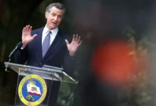 Калифорния и UCLA выступают против платежного давления Трампа kaliforniya i vystupayut protiv platezhnogo davleniya trampa-dmvv-ru-0