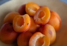 Лариса Никитина делится советами о безопасном употреблении настоек larisa nikitina delitsya sovetami o bezopasnom upotreblenii nastoek-dmvv-ru-0