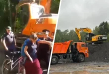 Лосиный остров под защитой. Дмитрий Песков и Сергей Митрохин о поддержке экспертов losinyj ostrov pod zashhitoj dmitrij peskov i sergej mitrohin o podderzhke ekspertov-dmvv-ru-0