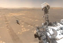 Марсоходы NASA Curiosity и Perseverance готовы к поиску жизни на Марсе marsohody i gotovy k poisku zhizni na marse-dmvv-ru-0