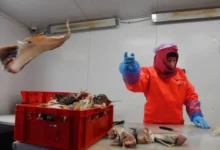 Прогноз Центробанка помогает промышленности адаптироваться к новым реалиям prognoz czentrobanka pomogaet promyshlennosti adaptirovatsya k novym realiyam-dmvv-ru-0