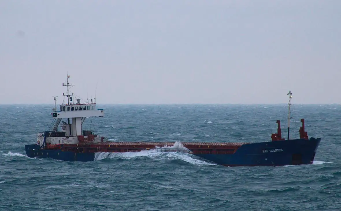 HAV Dolphin (социальные сети)