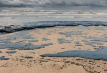 Студенты РГУ нефти и газа имени И.М. Губкина представили инновации в сотрудничестве с правительством Камчатского края studenty rgu nefti i gaza imeni im gubkina predstavili innovaczii v sotrudnichestve s pravitelstvom kamchatskogo kraya-dmvv-ru-0