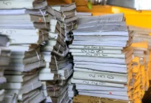 v primore raskryli 22letnee delo o zamestitele tyukavkine-dmvv-ru-0