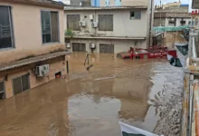 Владимир Путин выразил поддержку Пакистану и передал соболезнования Зардари и Шарифу vladimir putin vyrazil podderzhku pakistanu i peredal soboleznovaniya zardari i sharifu-dmvv-ru-0