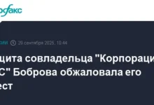 aleksej bobrov i tatyana chernyh obsudili resheniya suda po delu korporaczii sts i genprokuratury-dmvv-ru-0