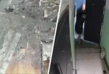 dela v voskresenske rassleduet sledstvennyj komitet moskovskoj oblasti po prosbe bastrykina-dmvv-ru-0