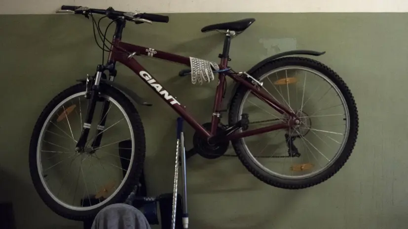 Россиянам напомнили о штрафах за хранение колясок и велосипедов у дверей квартир