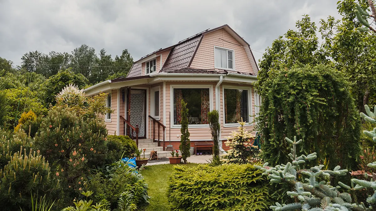 Какие продукты нельзя оставлять на даче зимой