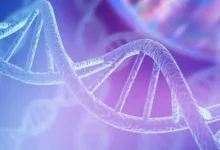 Команда МФТИ и ИОФ РАН разработала новый материал для доставки лекарств komanda mfti i iof ran razrabotala novyj material dlya dostavki lekarstv-dmvv-ru-0