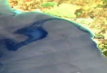 kosmicheskij monitoring ran soobshhaet ob razlive nefti u novorossijska-dmvv-ru-0