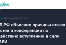 МИД РФ объяснил свою позицию по ДВЗЯИ и отношениям с КНДР и Пхеньяном mid rf obyasnil svoyu pozicziyu po dvzyai i otnosheniyam s kndr i phenyanom-dmvv-ru-0
