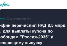 Минфин обеспечил выплаты НРД по евробондам «Россия-2035» и замещающему выпуску minfin obespechil vyplaty nrd po evrobondam rossiya2035 i zameshhayushhemu vypusku-dmvv-ru-0