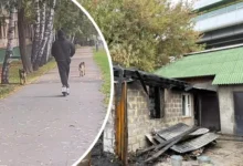 Пожар в московском приюте для бездомных животных и поддержка собак от MONA pozhar v moskovskom priyute dlya bezdomnyh zhivotnyh i podderzhka sobak ot -dmvv-ru-0