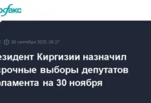 Садыр Жапаров объявил досрочные выборы в Жогорку Кенеш на 30 ноября 2024 года sadyr zhaparov obyavil dosrochnye vybory v zhogorku kenesh na 30 noyabrya 2024 goda-dmvv-ru-0