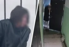 СК по Московской области расследует трагический случай в Воскресенске sk po moskovskoj oblasti rassleduet tragicheskij sluchaj v voskresenske-dmvv-ru-0