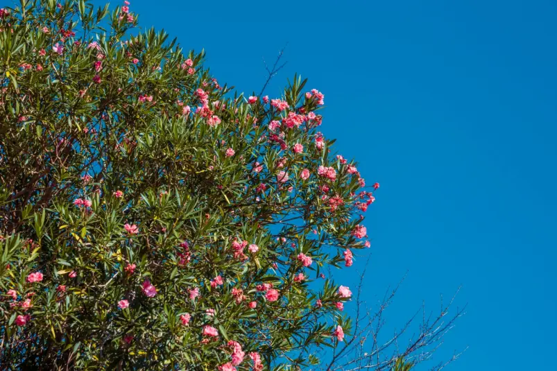 Фото: primamedia.ru