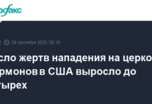 Уильям Рейне и Рубен Коулман координируют работу ФБР после событий в Мичигане uilyam rejne i ruben koulman koordiniruyut rabotu fbr posle sobytij v michigane-dmvv-ru-0