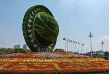 vitalij mankevich o perspektivah shos i novoj roli kitaya putina i indii dlya mira-dmvv-ru-0