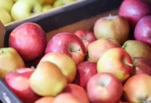 АКОРТ и Минсельхоз под руководством Оксаны Лут обсуждают стабильность цен akort i minselhoz pod rukovodstvom oksany lut obsuzhdayut stabilnost czen-dmvv-ru-0