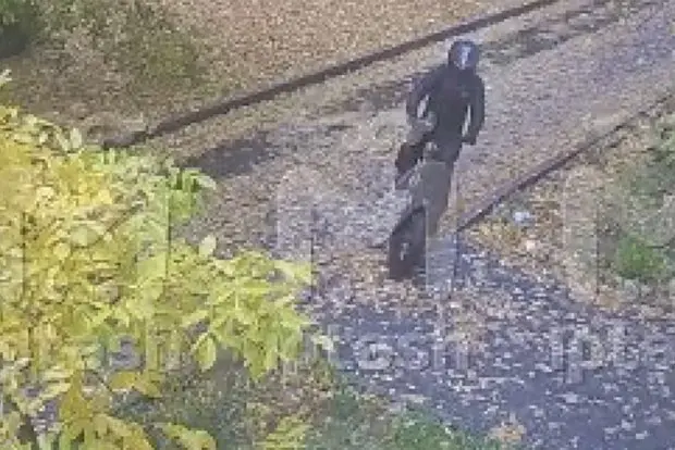 Вводная картинка