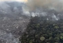 Амазония бьёт тревогу, но появляется надежда на восстановление климата в ЕС amazoniya byot trevogu no poyavlyaetsya nadezhda na vosstanovlenie klimata v es-dmvv-ru-0
