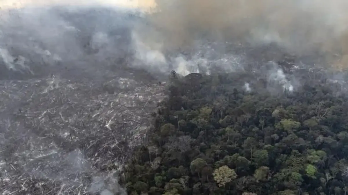 Амазония бьёт тревогу, но появляется надежда на восстановление климата в ЕС-0