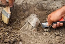 Археологи Италии исследуют древнеримский саркофаг в гробнице Цербера arheologi italii issleduyut drevnerimskij sarkofag v grobnicze czerbera-dmvv-ru-0