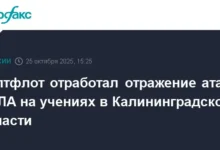 Балтийский флот успешно провел учения по отражению атак БПЛА в Калининграде baltijskij flot uspeshno provel ucheniya po otrazheniyu atak bpla v kaliningrade-dmvv-ru-0