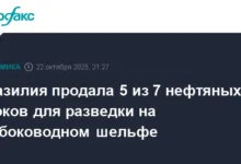 Бразилия привлекла внимание мировых нефтяных гигантов на шельфовом аукционе braziliya privlekla vnimanie mirovyh neftyanyh gigantov na shelfovom aukczione-dmvv-ru-0