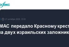 ЦАХАЛ и Красный крест принимают новые меры для мира Израиля и ХАМАС czahal i krasnyj krest prinimayut novye mery dlya mira izrailya i hamas-dmvv-ru-0