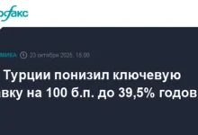 ЦБ Турции снизил ключевую ставку для поддержки турецкой лиры и инфляции czb turczii snizil klyuchevuyu stavku dlya podderzhki tureczkoj liry i inflyaczii-dmvv-ru-0