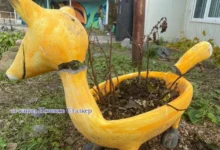 Дмитрий Новиков рассказывает о вандализме во Владивостоке и новых испытаниях для Пес Поти и Экипажного dmitrij novikov rasskazyvaet o vandalizme vo vladivostoke i novyh ispytaniyah dlya pes poti i ekipazhnogo-dmvv-ru-0