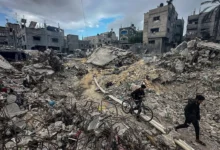 Достижения Трампа и мировых лидеров открывают новые горизонты мира в секторе Газа dostizheniya trampa i mirovyh liderov otkryvayut novye gorizonty mira v sektore gaza-dmvv-ru-0