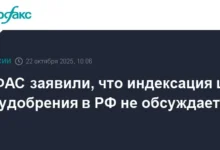 fas i pravitelstvo rf garantiruyut stabilnost czen na udobreniya dlya agrariev strany-dmvv-ru-0
