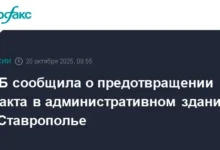 ФСБ предотвратила преступление террористической организации в Георгиевске и изъяла самодельное взрывное устройство fsb predotvratila prestuplenie terroristicheskoj organizaczii v georgievske i izyala samodelnoe vzryvnoe ustrojstvo-dmvv-ru-0