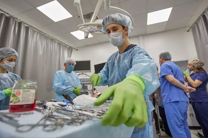 Фото: primamedia.ru