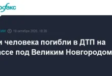 ГИБДД сообщает подробности ДТП на трассе Великий Новгород-Псков gibdd soobshhaet podrobnosti dtp na trasse velikij novgorodpskov-dmvv-ru-0