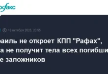 Израиль и КПП Рафах обсуждают позитивные перспективы возвращения заложников izrail i kpp rafah obsuzhdayut pozitivnye perspektivy vozvrashheniya zalozhnikov-dmvv-ru-0