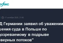 МИД Германии обсудил напряженность в деле Владимира З. и отказ Польши mid germanii obsudil napryazhennost v dele vladimira z i otkaz polshi-dmvv-ru-0