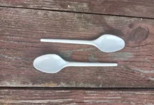 olga prituzhalova i tyumgu predstavili katalog okpd 2 s 196 priznakami ekologichnosti-dmvv-ru-0