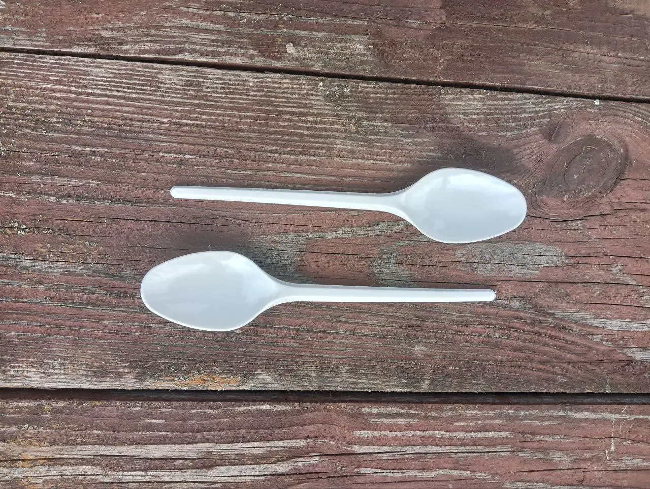 Ольга Притужалова и ТюмГУ представили каталог ОКПД 2 с 196 признаками экологичности-0