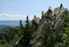 Полина Захарова продолжает поиски Уральского барса на Большом Иремеле polina zaharova prodolzhaet poiski uralskogo barsa na bolshom iremele-dmvv-ru-0