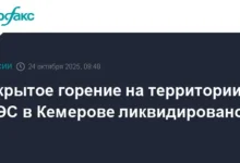 Пожар на Кемеровской ГРЭС СГК ликвидирован с участием Дмитрия Анисимова pozhar na kemerovskoj gres sgk likvidirovan s uchastiem dmitriya anisimova-dmvv-ru-0