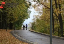 Прогноз тёплых и солнечных выходных в Санкт-Петербурге и других регионах России prognoz tyoplyh i solnechnyh vyhodnyh v sanktpeterburge i drugih regionah rossii-dmvv-ru-0